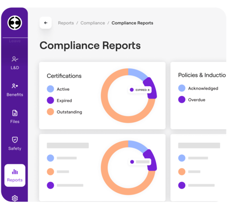 HR software reporting and analytics